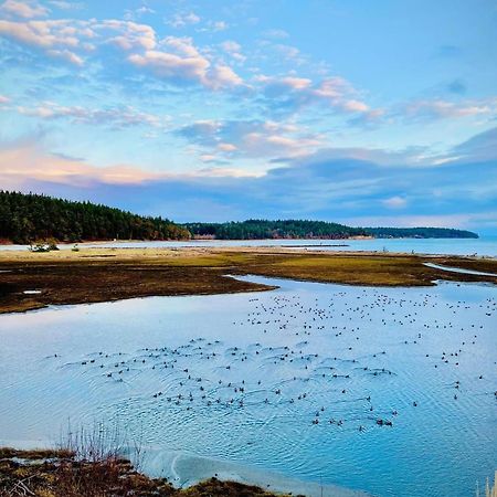Beautiful Oceanview Retreat 2 Bedroom Home Port Hadlock-Irondale Extérieur photo
