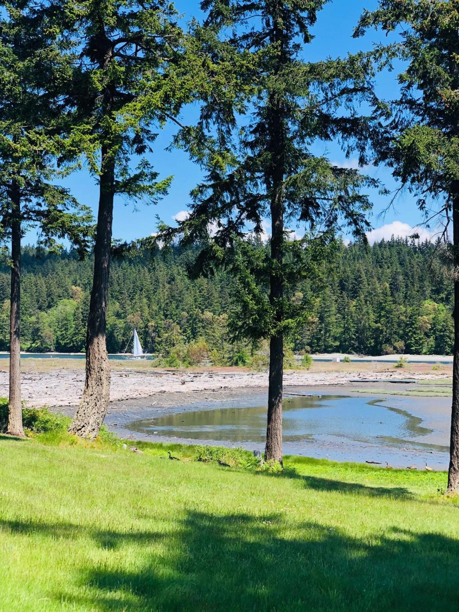 Beautiful Oceanview Retreat 2 Bedroom Home Port Hadlock-Irondale Extérieur photo